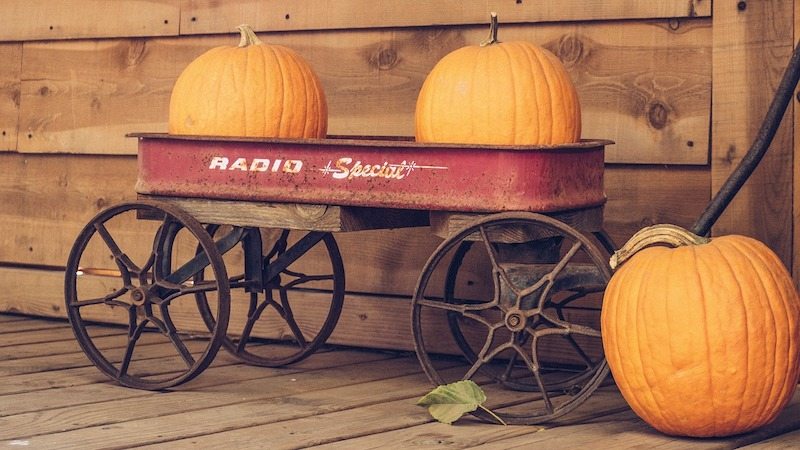Pumpkins sitting in a red wagon against a wood wall in Tomahawk